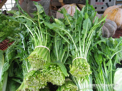 &quot;Hcg Recipes With Fennel Bulb